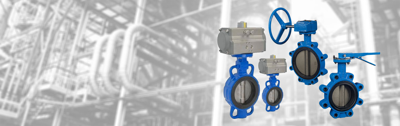butterfly valve manufacturer in ahmedabad